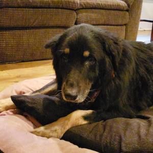 Meet your Posher, Karl